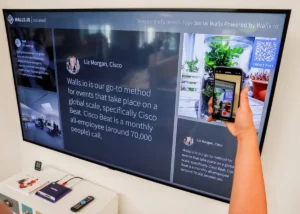 Wonderwall Review: What It Is, Features, Safety, and Alternatives